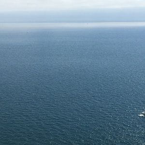 Meet your Posher, Brady